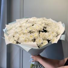 Букет из белых махровых кустовых хризантем 1900