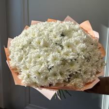 Букет из белых махровых кустовых хризантем 1900