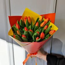 25 оранжевых тюльпанов 2647