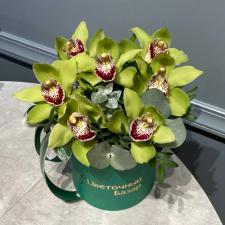 Зеленые орхидеи в шляпной коробке S 2713